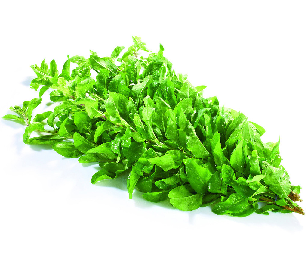 枸杞叶的功效有哪些?去哪里买枸杞叶才正宗?