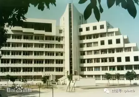 厉害！沙坪坝这两所职校多次蝉联全国职业院校技能赛冠军