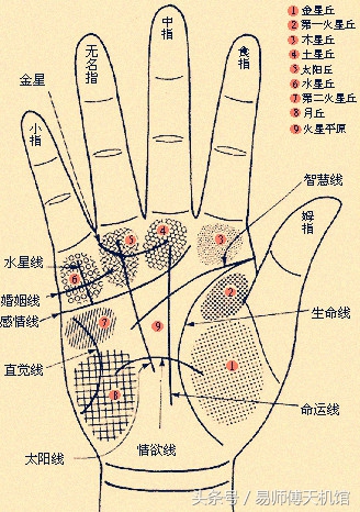 如何根据你的手相看你情感经历？