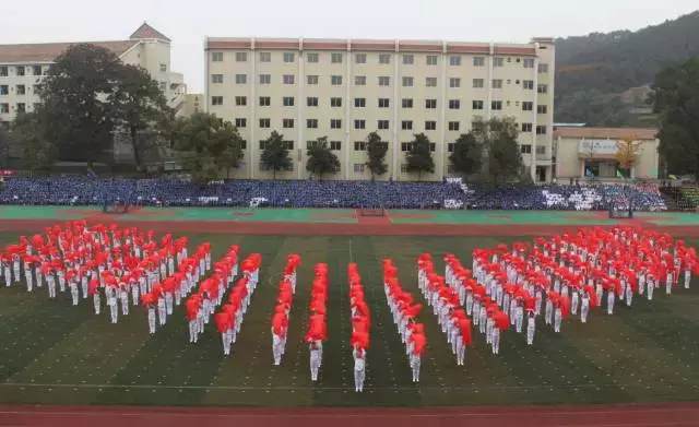 厉害！沙坪坝这两所职校多次蝉联全国职业院校技能赛冠军