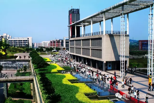 厉害！沙坪坝这两所职校多次蝉联全国职业院校技能赛冠军