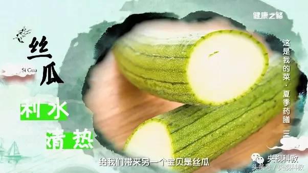 健康之路｜夏天吃瓜顶呱呱，今夏要吃冬瓜和丝瓜！
