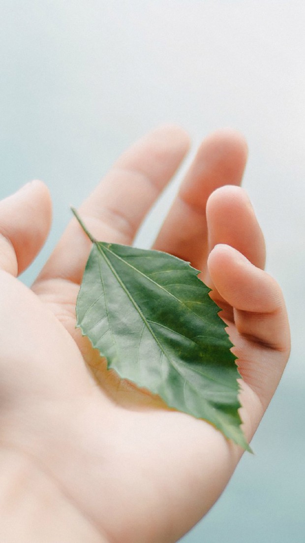 读下这十句话,一种高尚的品格