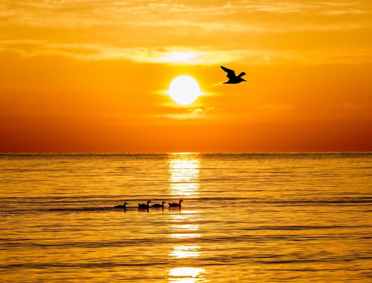 油菜花海、天空之境，这是青海湖最美的夏天