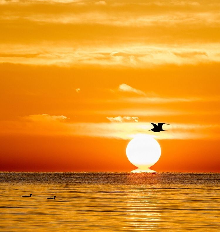 油菜花海、天空之境，这是青海湖最美的夏天