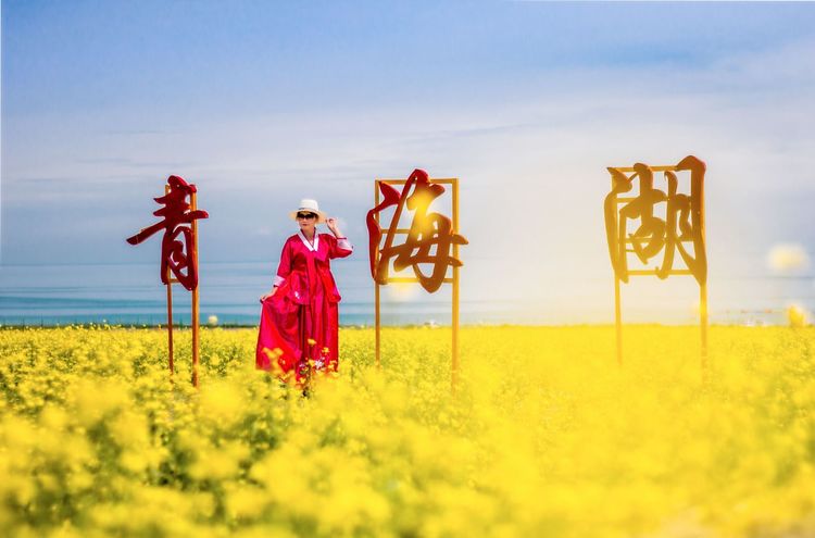 油菜花海、天空之境，这是青海湖最美的夏天