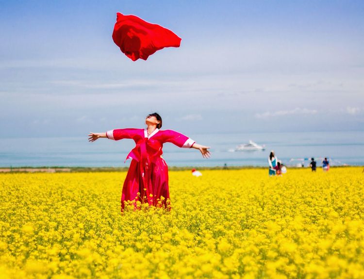 油菜花海、天空之境，这是青海湖最美的夏天