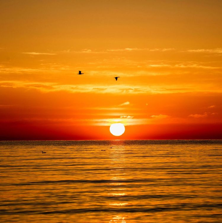 油菜花海、天空之境，这是青海湖最美的夏天