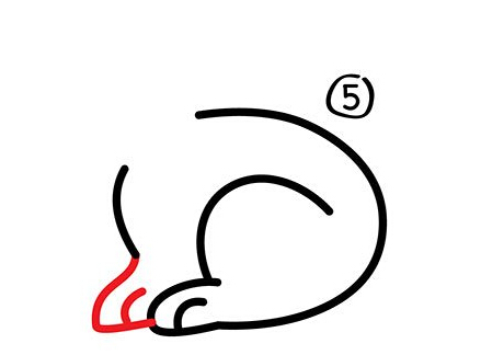 儿童简笔画：小兔子白又白，一个教程学起来（附步骤图）