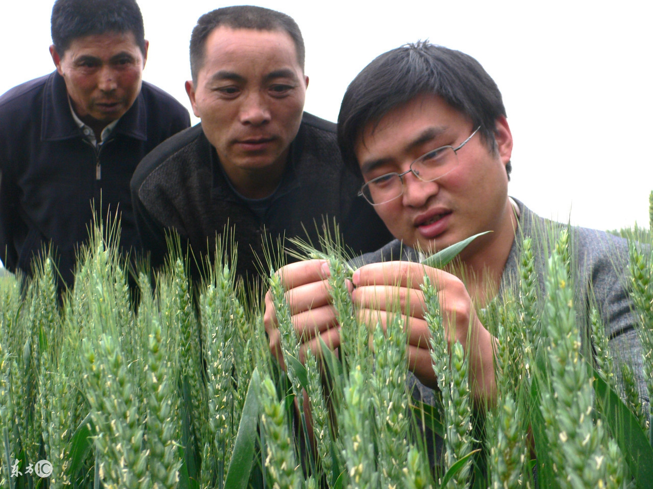 大学生村官服务期满，有事业编