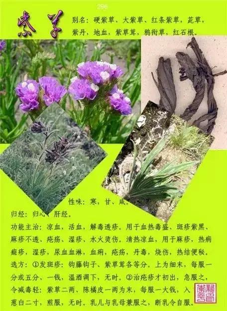 100种中药图谱大全，药性功效全在上面了，存起来，以后用得着！