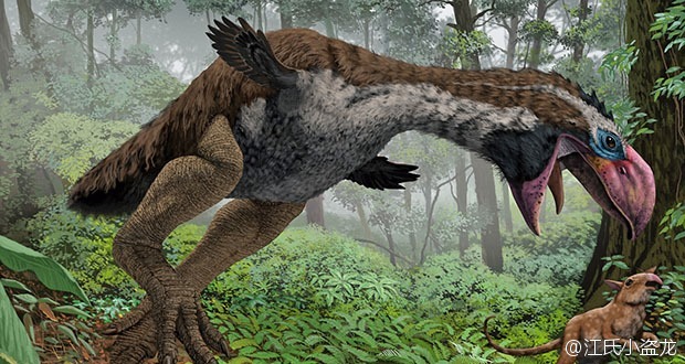 象鸟灭绝了吗(1分钟了解关于象鸟的小知识)