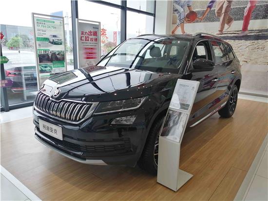 三月踏青季达州天马斯柯达惠民团购会