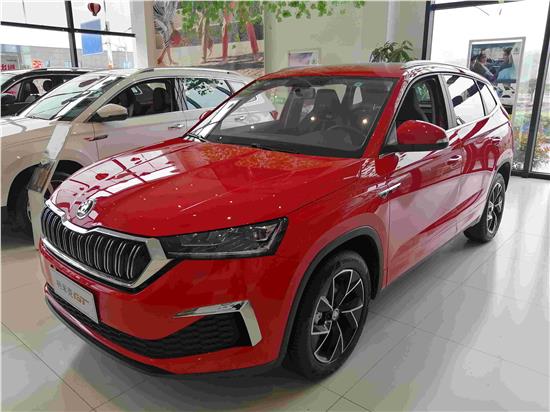 三月踏青季达州天马斯柯达惠民团购会