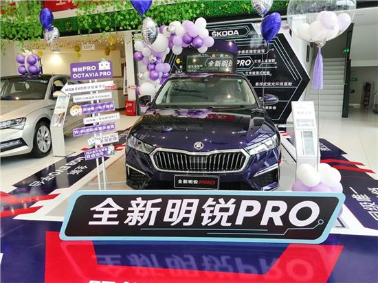 三月踏青季达州天马斯柯达惠民团购会