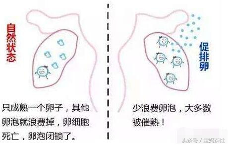 试管婴儿究竟要花多少钱？受多少罪？让你全面了解试管婴儿