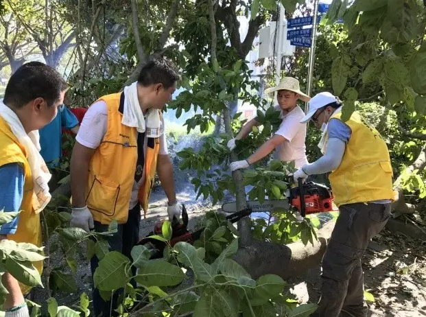 “天鸽”袭击造成暨南大学珠海校区较严重灾情，暨南人众志成城抗险救灾