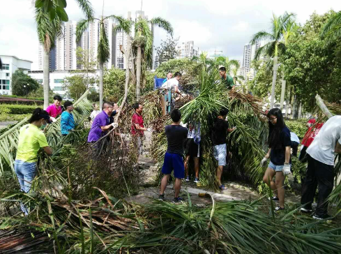 “天鸽”袭击造成暨南大学珠海校区较严重灾情，暨南人众志成城抗险救灾