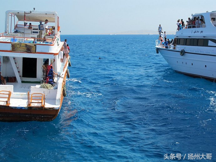 沙特，神奇国度瞧风景之一：红海不红，碧绿清沏；坐船垂钓捕鱼忙