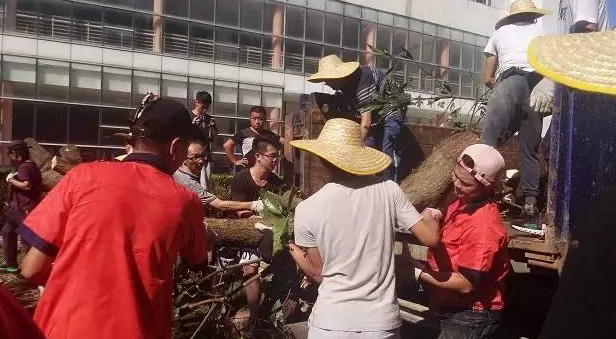 “天鸽”袭击造成暨南大学珠海校区较严重灾情，暨南人众志成城抗险救灾