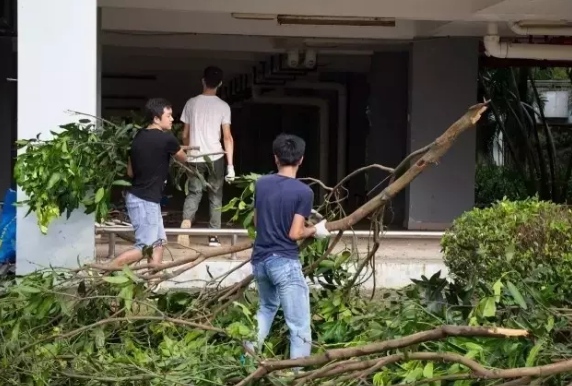 “天鸽”袭击造成暨南大学珠海校区较严重灾情，暨南人众志成城抗险救灾