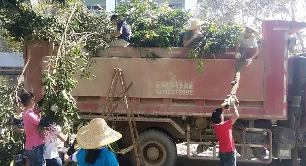 “天鸽”袭击造成暨南大学珠海校区较严重灾情，暨南人众志成城抗险救灾