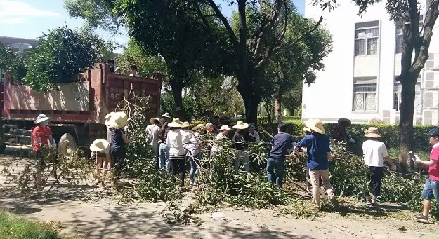 “天鸽”袭击造成暨南大学珠海校区较严重灾情，暨南人众志成城抗险救灾