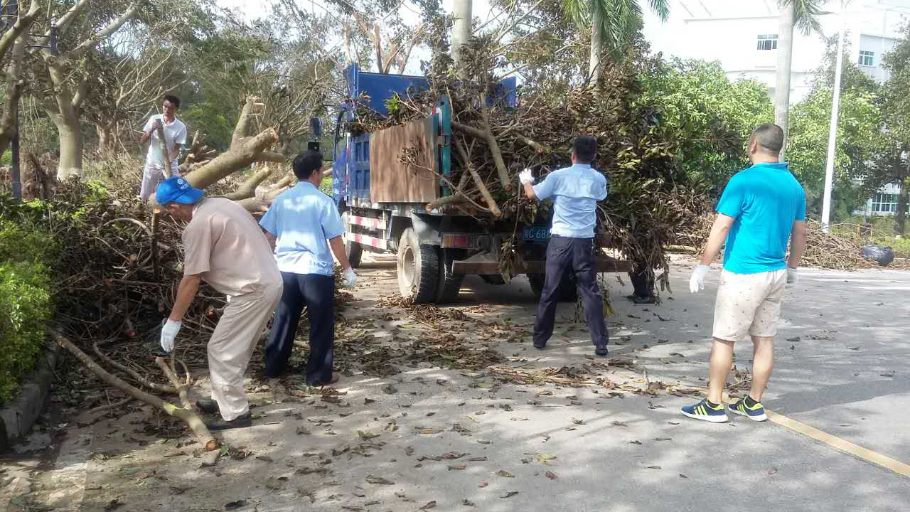 “天鸽”袭击造成暨南大学珠海校区较严重灾情，暨南人众志成城抗险救灾