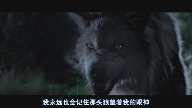 《杀破狼》三部曲中这些未解的疑惑你看懂了吗？
