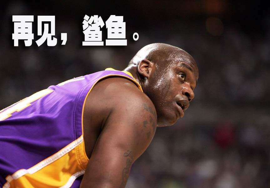 nba为什么起动物名(NBA用动物起绰号的6大球星，科比就像一只毒蛇需敬而远之！)