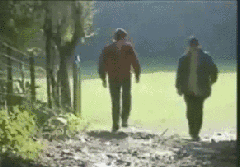 期权池？这里又有什么“坑”？