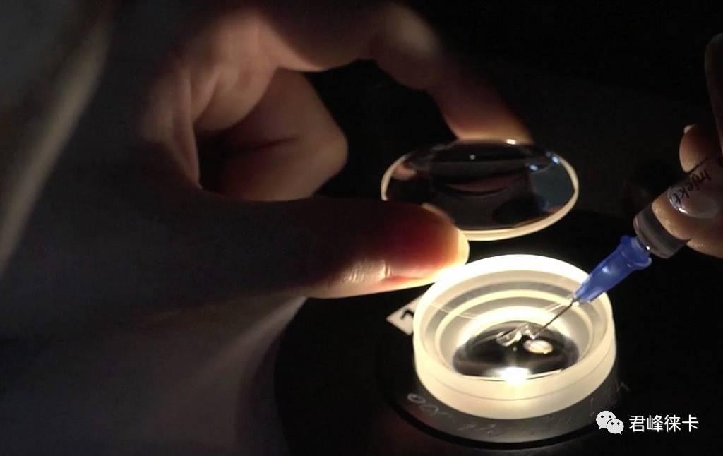 摄影界流传的“德味儿”究竟是什么味儿？好吃吗？