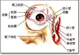 眼皮跳是咋回事？左跳财，右跳灾？出现这种情况就真的是灾！