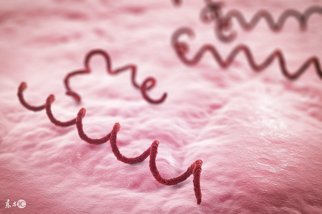 钞票也会传播性病？女性患性病有这些症状