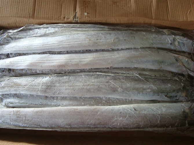 海鱼种类有哪些，中国人常吃的10种海鱼推荐？