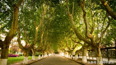 河海大学：南京最受“委屈”的水利特色大学