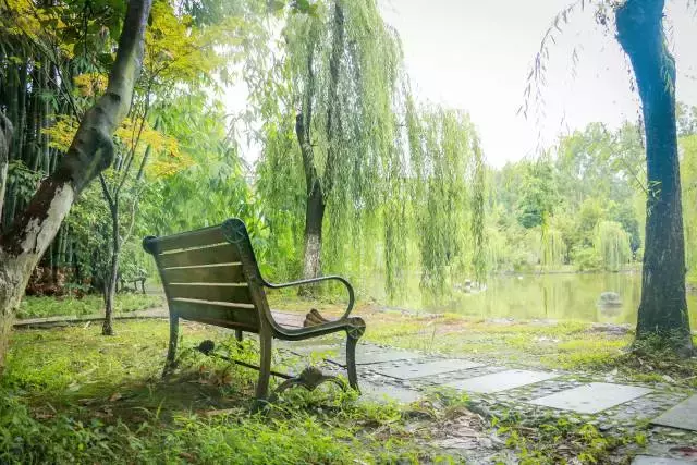 川大锦城！拥有7大食堂1条小吃街的美食帝国！