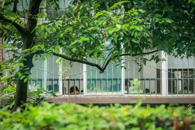 川大锦城！拥有7大食堂1条小吃街的美食帝国！