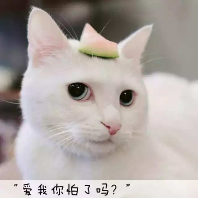 我测评了9款热门遮瑕,最好用的居然是35块钱的它?