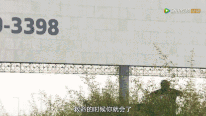 港剧不变才完蛋