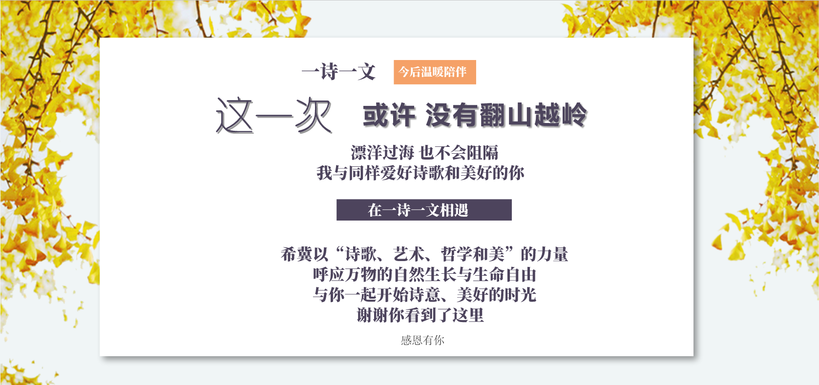 一片一片的雪花 飘飘洒洒 来不及诉说红尘的牵挂 就匆匆融化