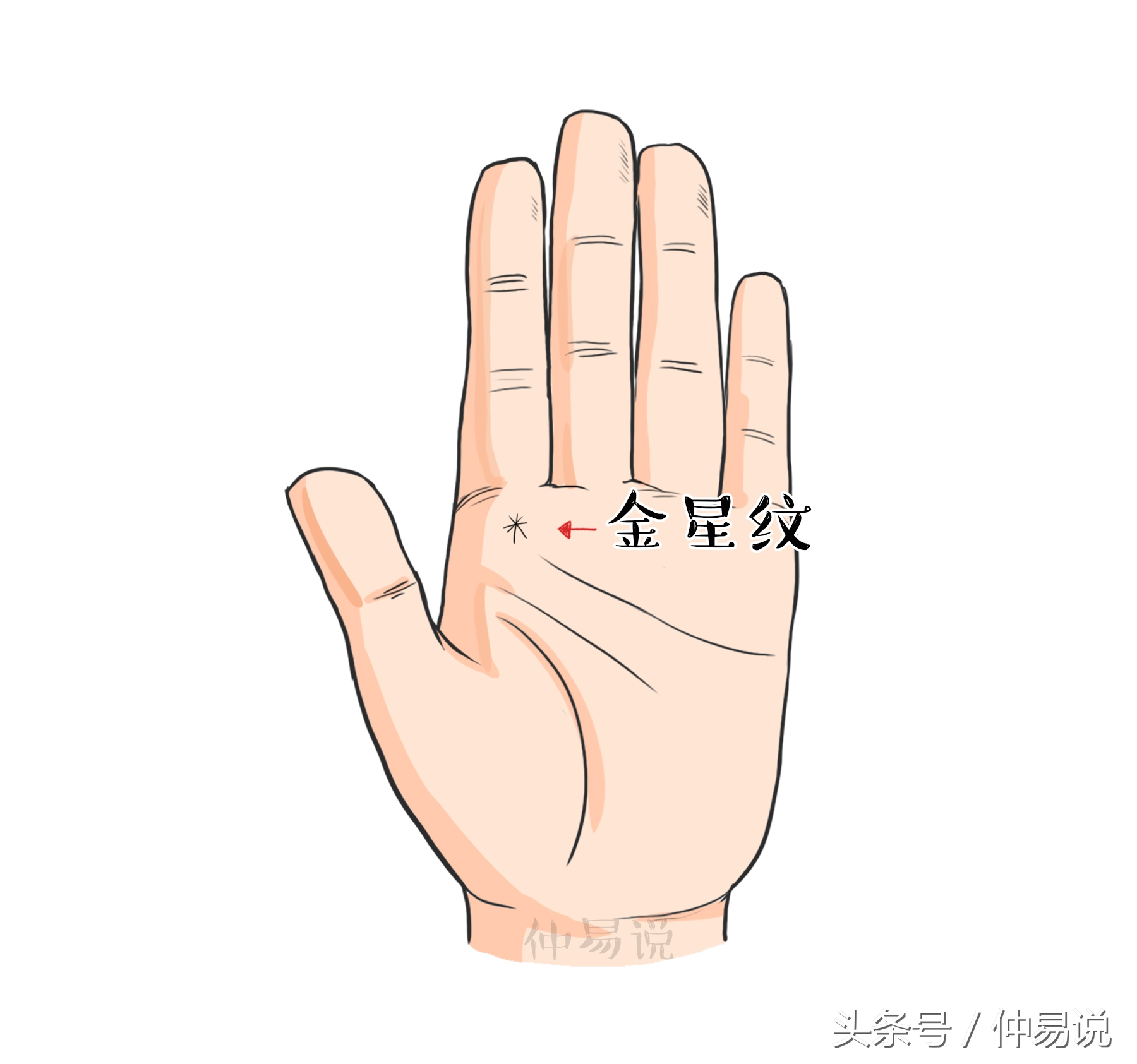 桃花运好的手相特点分析 感情丰富桃花旺盛_达一风水网