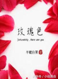 好书推荐：晋江热榜青梅竹马欢喜冤家婚恋甜文娱乐圈言情小说推荐