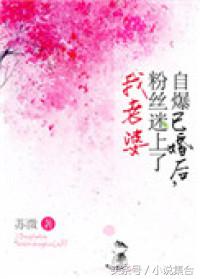 好书推荐：晋江热榜青梅竹马欢喜冤家婚恋甜文娱乐圈言情小说推荐