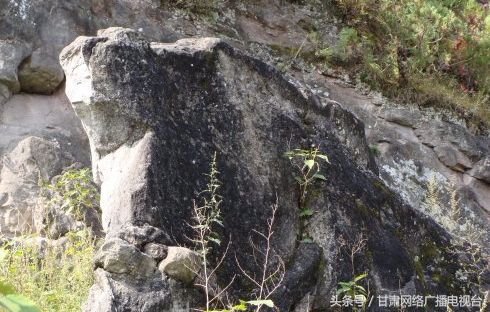 马帮脚户的苦情—康县平洛驿