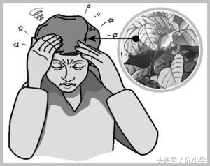 头晕恶心呕吐怎么回事