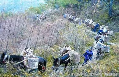 马帮脚户的苦情—康县平洛驿