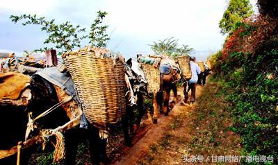 马帮脚户的苦情—康县平洛驿