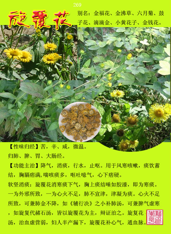 100种中药图谱大全，药性功效全在上面了，存起来，以后用得着！