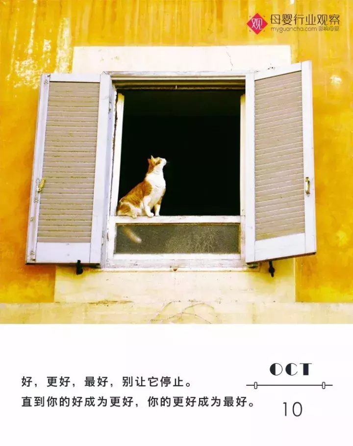 圣元优博：旗下儿童乳品品牌正式发布，开启新篇章。